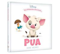 Pua Aide HeiHei