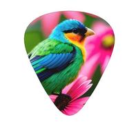 Púa de guitarra excepcional con flores coloridas y pájaros, impresión completa de un solo lado, púa de material ABS, diversos grosores para una experiencia musical variada, ideal para guitarras y