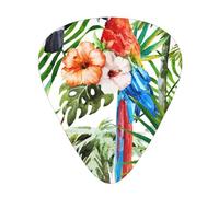 Púas de guitarra acústica con hojas de palmera de tucanes - Púas de guitarra premium para bajo y guitarra eléctrica
