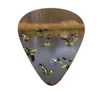 Púas de guitarra acústica Hunting Flying Wild Ducks - Púas de guitarra premium para bajo y guitarra eléctrica