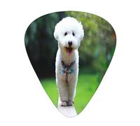 Púas de guitarra, Bichon Frise Bokeh Pets Dogs Park White Dogs para guitarra acústica, guitarra eléctrica, bajo, ukelele de tres tamaños (paquete de 12)