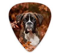 Púas de guitarra Boxer Dogs Autumn Premium Picks Sampler Unique Guitar Gift (12 unidades)