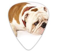 Púas de guitarra Bulldog inglés Fotografía de Bulldog triste y cansado con muestra de púas premium crema marrón 12 paquetes