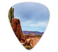 Púas de guitarra Cactus creciendo en las montañas 12 piezas de púas de ukelele que incluyen 0,46 mm 0,71 mm 0,96 mm