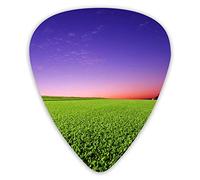 Púas de guitarra Campo de golf Green Grass Sunset 12 piezas Púas de ukelele que incluyen 0,46 mm 0,71 mm 0,96 mm