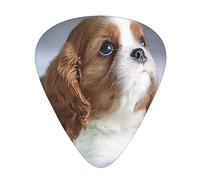 Púas de guitarra, cara de Cavalier King Charles Spaniel para guitarra acústica, guitarra eléctrica, bajo, ukelele de tres tamaños (paquete de 12)