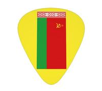 Púas de guitarra con estampado de bandera de Bielorrusia con caja organizadora, púas de celuloide para guitarra acústica, bajo