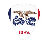 Púas de guitarra con estampado de bandera del estado de Iowa con caja organizadora, púas de celuloide para guitarra acústica y bajo