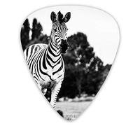 Púas de guitarra Cool Black and White Zebras 12 piezas de púas de ukelele que incluyen 0,46 mm 0,71 mm 0,96 mm