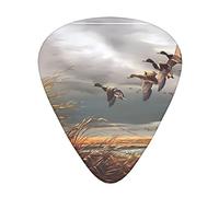 Púas de guitarra de caza Flying Wild Ducks clásicas, triangulares, bajo, acústica y eléctrica, para guitarristas, 12 piezas