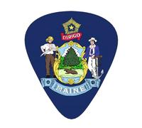 Púas de guitarra de celuloide con estampado de bandera del estado de Maine para bajo acústico, púas de guitarra con caja organizadora