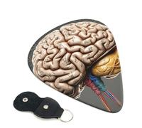 Púas de guitarra de cerebro humano, 6 unidades, púa de celuloide de 0.96 mm de grosor con soporte de púas de cuero, púa de guitarra personalizada para bajo, guitarras eléctricas y acústicas, regalo