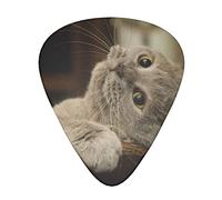 Púas de guitarra de pelo corto con aspecto de gato en una postura divertida, delgadas y de calibre medio y pesado para bajo, guitarras acústicas eléctricas (12 unidades)