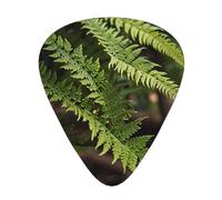 Púas de guitarra de primer plano de helecho en tamaños finos, medianos y gruesos, juego de 12 piezas, adecuadas para guitarra eléctrica y varios instrumentos