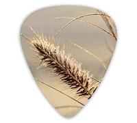 Púas de guitarra Ears of Wheat in The Sun 12 piezas de púas de ukelele que incluyen 0,46 mm 0,71 mm 0,96 mm