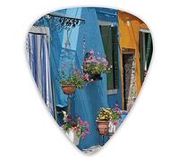 Púas de guitarra Entrada a casa retro con camino de ladrillos y flores Imagen Púas de guitarra 12 paquetes - Variedad de púas de guitarra Púas