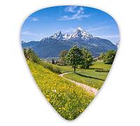 Púas de guitarra Flores silvestres en los Alpes y el Parque Nacional Snow Mountain Baviera Alemania Premium Picks Sampler 12 paquetes