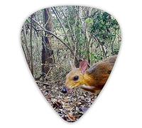 Púas de guitarra Forest Deer Baby 12 piezas de púas de ukelele que incluyen 0,46 mm 0,71 mm 0,96 mm