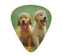 Púas de guitarra, Golden Retriever Puppy Dog para guitarra acústica, guitarra eléctrica, bajo, ukelele de tres tamaños (paquete de 12)
