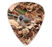 Púas de guitarra Grass Bird 12 piezas de púas de ukelele de 0,46 mm 0,71 mm 0,96 mm