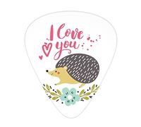 Púas de guitarra Hedgehog, paquete de 12 púas universales de guitarra ABS, salpicadura de tinta manchada con cita de I Love You y corona floral con flor de nomeolvides, para guitarra acústica y eléctr