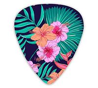 Púas de guitarra Hermosas flores tropicales Belleza Moda Púas de guitarra 12 paquetes - Variedad de púas de guitarra Púas