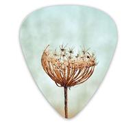 Púas de guitarra Hermosas púas de ukelele de flores de invierno 12 piezas, incluidas 0,46 mm 0,71 mm 0,96 mm