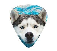 Púas de guitarra Husky nadando en el agua, paquete de 12 púas de guitarra para bajo acústico eléctrico, ukelele