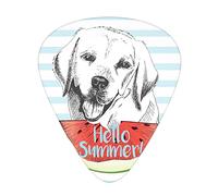 Púas de guitarra Labrador, paquete de 12 púas universales de guitarra ABS, cita de Hello Summer con un perro Retriever estilo boceto y una rebanada de sandía fresca, para guitarra acústica y eléctrica