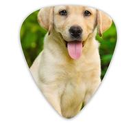 Púas de guitarra Labrador Retriever Perros Púas de ukelele 12 piezas, incluidas 0,46 mm 0,71 mm 0,96 mm