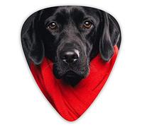 Púas de guitarra Labrador Retriever Premium Bass Picks para guitarra eléctrica y bajo con tres tamaños (paquete de 12)