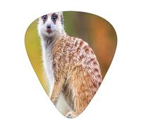 Púas de guitarra, lindo animal suricata para guitarra acústica, guitarra eléctrica, bajo, ukelele de tres tamaños (paquete de 12)