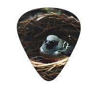 Púas de guitarra Little Bird Nest, púas de celuloide de alta calidad para una mejor jugabilidad y tono.