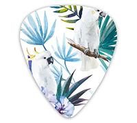 Púas de guitarra, paquete de 12 púas universales de guitarra ABS, acuarela, pájaros blancos en ramas de palmera, hojas de naturaleza exótica, ilustraciones para guitarra acústica y eléctrica