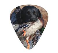 Púas de guitarra, para guitarra acústica, guitarra eléctrica, bajo, ukelele de tres tamaños (paquete de 12) divertido perro caza pato estampado