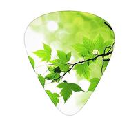 Púas de guitarra, para guitarra acústica, guitarra eléctrica, bajo, ukelele, tres tamaños (paquete de 12), estampado de hojas refrescantes