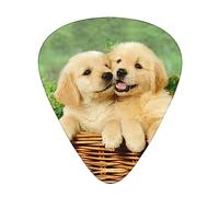 Púas de guitarra para perro Golden Retriever impreso, paquete de 12 púas de guitarra para bajo acústico eléctrico, ukelele