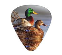 Púas de guitarra Pato Mallard Impreso Paquete de 12 púas de guitarra para bajo acústico eléctrico Ukelele