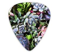 Púas de guitarra Patrón colorido de plantas suculentas Tropical 12 piezas Púas de ukelele que incluyen 0,46 mm 0,71 mm 0,96 mm