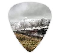 Púas de guitarra Railway in The Steppe Púas de ukelele 12 piezas, incluidas 0,46 mm 0,71 mm 0,96 mm