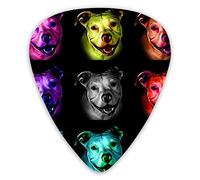 Púas de guitarra Rainbow Pitbull Art Pattern Premium Púas de bajo para guitarra eléctrica y bajo con tres tamaños (paquete de 12)
