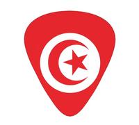 Púas de guitarra resistentes al desgaste de la bandera tunecina, fina, media, pesada, 12 púas de guitarra, adecuadas para guitarra, bajo, guitarra eléctrica, ukelele,