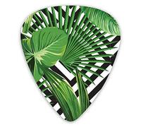 Púas de guitarra Summer Exotic Jungle Plant Hojas de palmera tropical Púas de guitarra premium 12 piezas de púas de ukelele que incluyen 0,46 mm 0,71 mm 0,96 mm