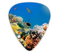 Púas de guitarra Tropical Fish Coral Reef Underwater Premium Púas de guitarra 12 piezas Púas de ukelele que incluyen 0,46 mm 0,71 mm 0,96 mm