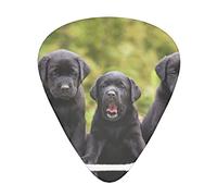Púas de guitarra únicas de perro Labrador Retriever con impresiones claras y múltiples grosores