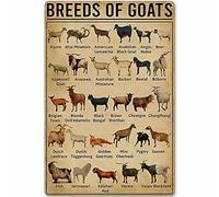 PUBDSKBLDE Cartel de metal con texto en inglés "Breeds of Goats" con guía de conocimientos de cabras, póster infográfico retro de granja, hogar, cocina, restaurante, club, decoración de pared del