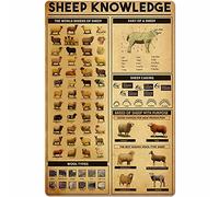 PUBDSKBLDE Cartel de metal con texto en inglés "The World Breeds of A Sheep Dart of A Sheep Unplaning", póster retro de granja, hogar, cocina, restaurante, club, decoración de pared, 30,5 x 40,6 cm