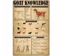 PUBDSKBLDE Goat Knowledge - Cartel de metal con texto en inglés «The Muscular System of A Goat», póster de metal ilustrado retro, granja, hogar, cocina, restaurante, club, decoración de pared, 8 x 12
