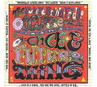 Pubert Brown Fridge Occurrence,The - A Once And Future Thing (11 Tracks - Aust Excl)
