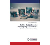Public Budgeting in Developing Economies: Challenges and Innovations in Africa